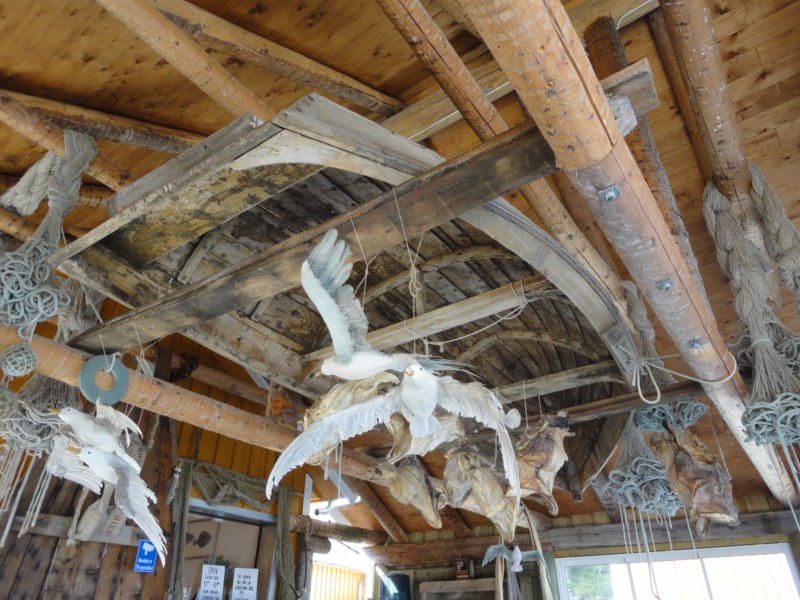 DSC04792 [800x600].jpg