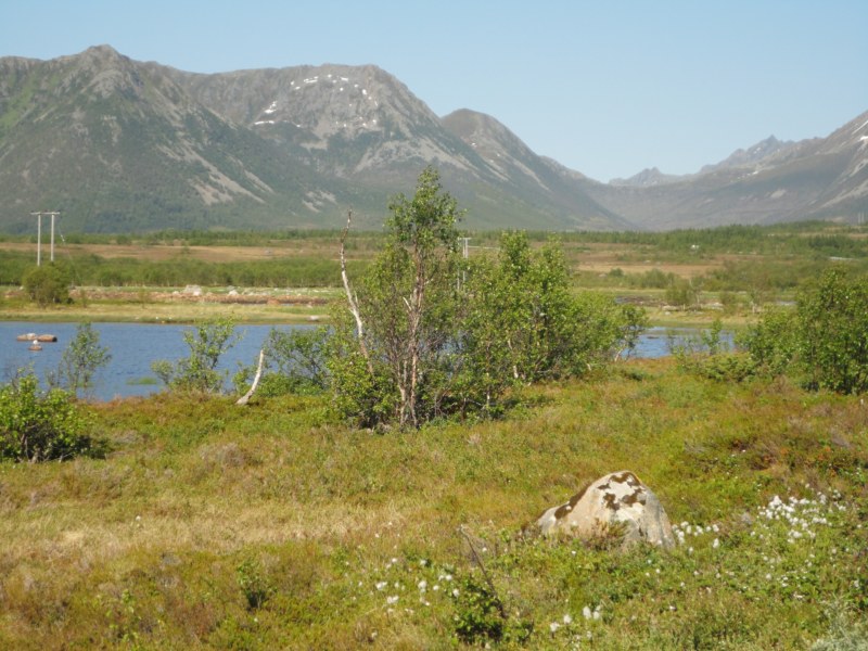 DSC04848 [800x600].jpg