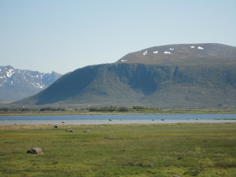 DSC04852 [800x600].jpg