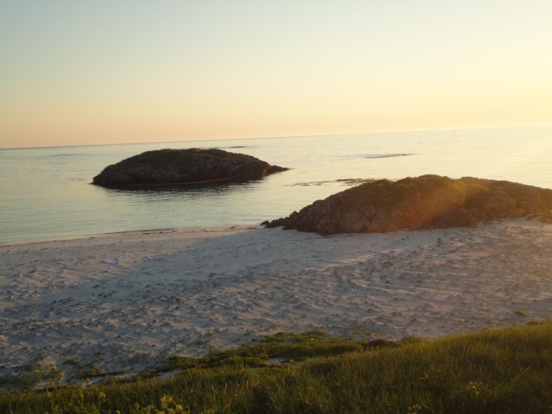 DSC04876 [800x600].jpg