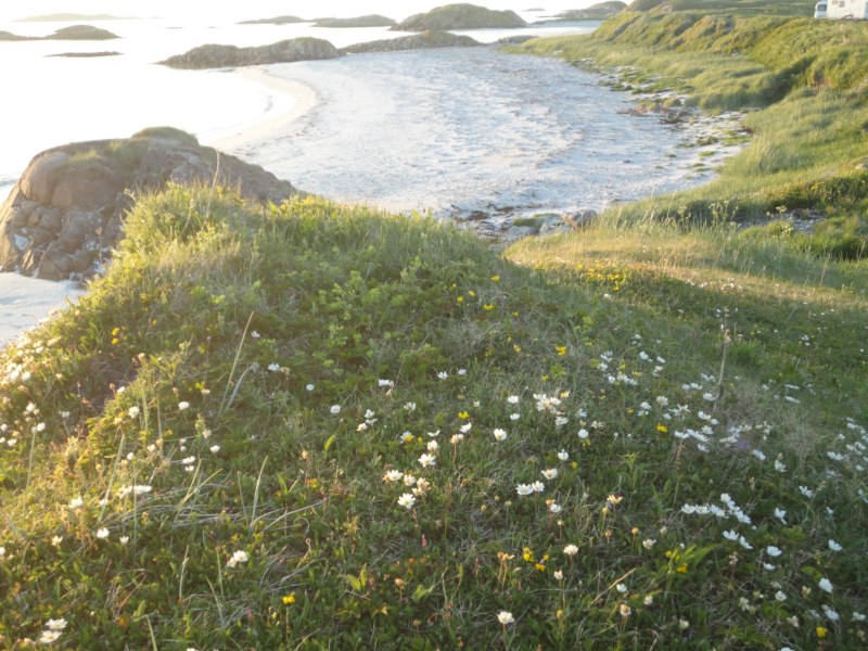 DSC04878 [800x600].jpg