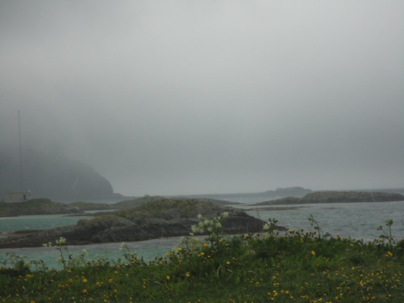 DSC04890 [800x600].jpg