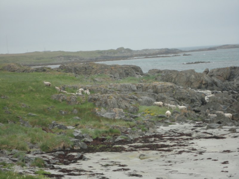 DSC04920 [800x600].jpg