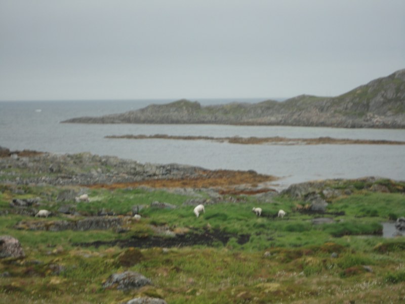 DSC04922 [800x600].jpg