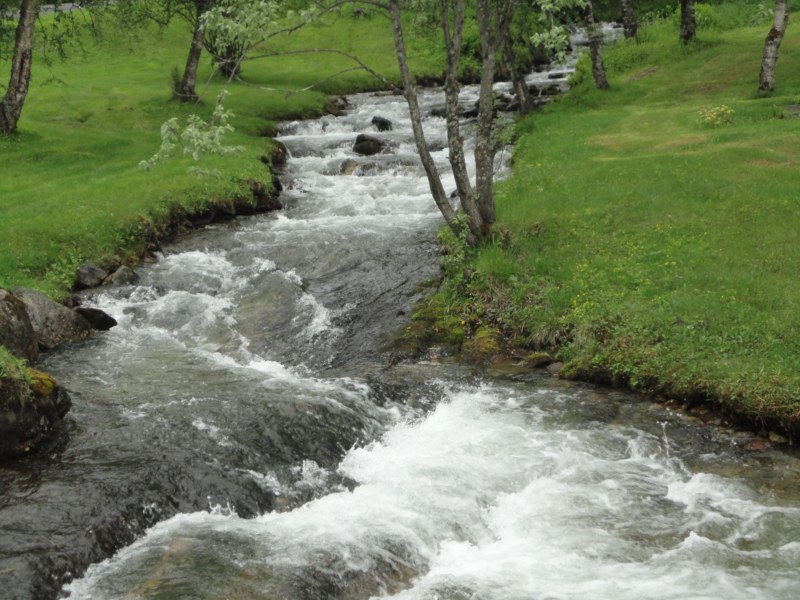 DSC04986 [800x600].jpg