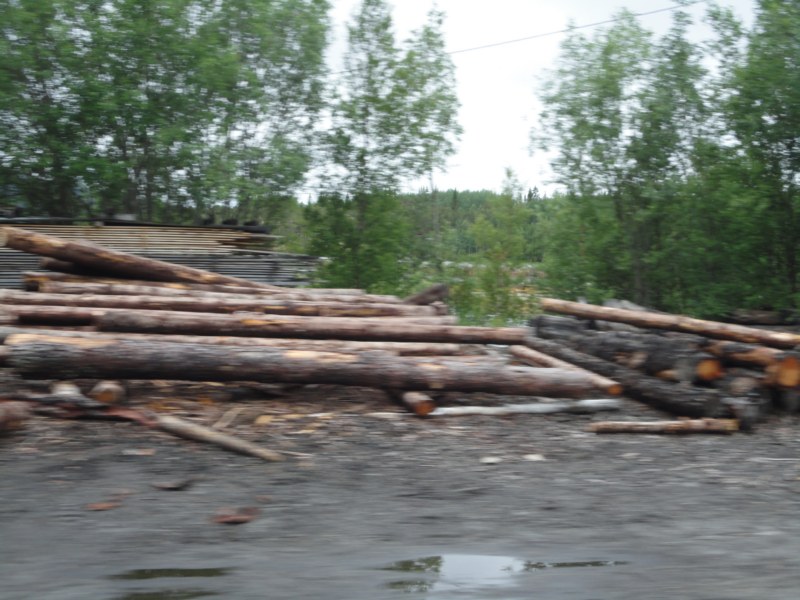 DSC05003 [800x600].jpg