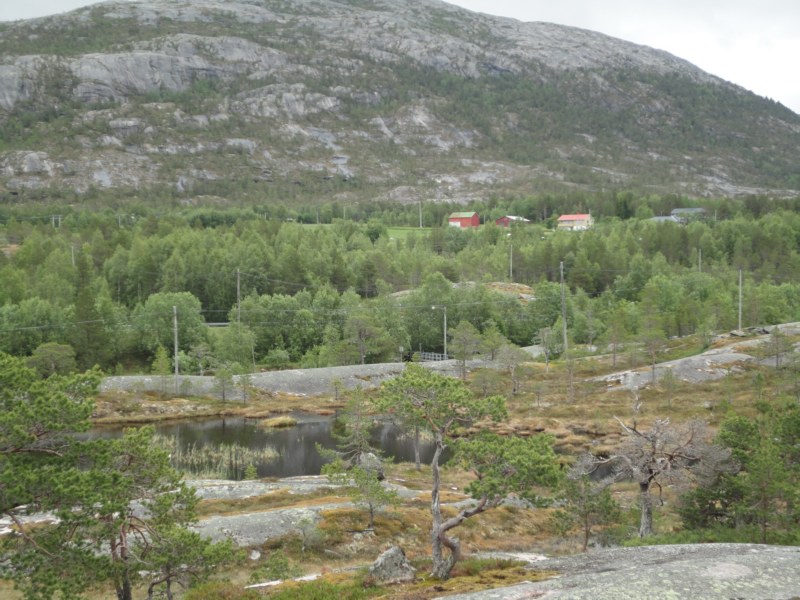 DSC05013 [800x600].jpg