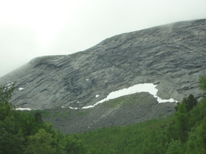 DSC05026 [800x600].jpg