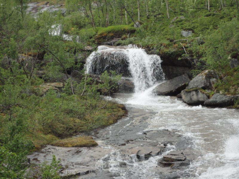 DSC05029 [800x600].jpg