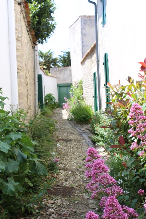 îlederé2013 018 (Copier).JPG