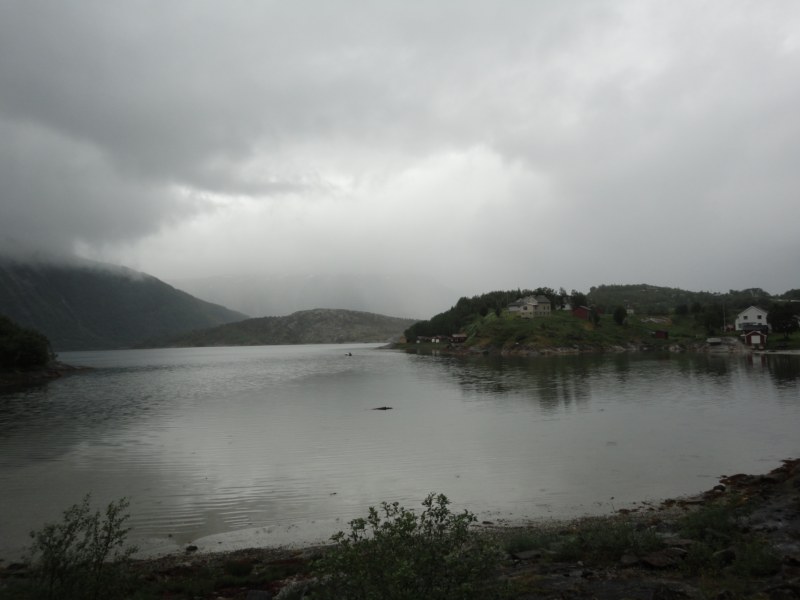 DSC05071 [800x600].jpg