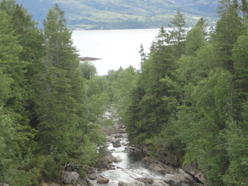 DSC05174 [800x600].jpg