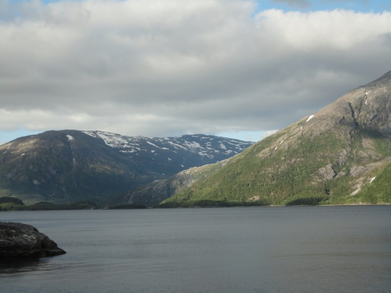 DSC05239 [800x600].jpg