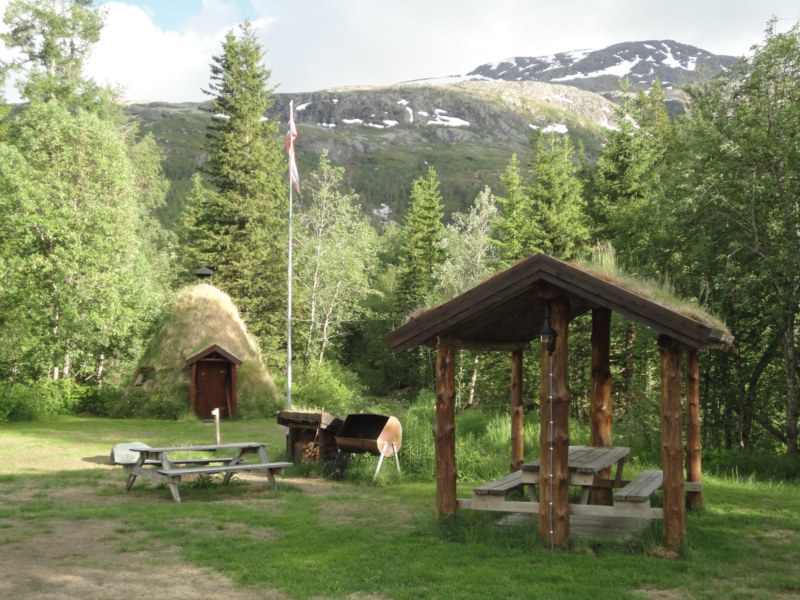 DSC05242 [800x600].jpg