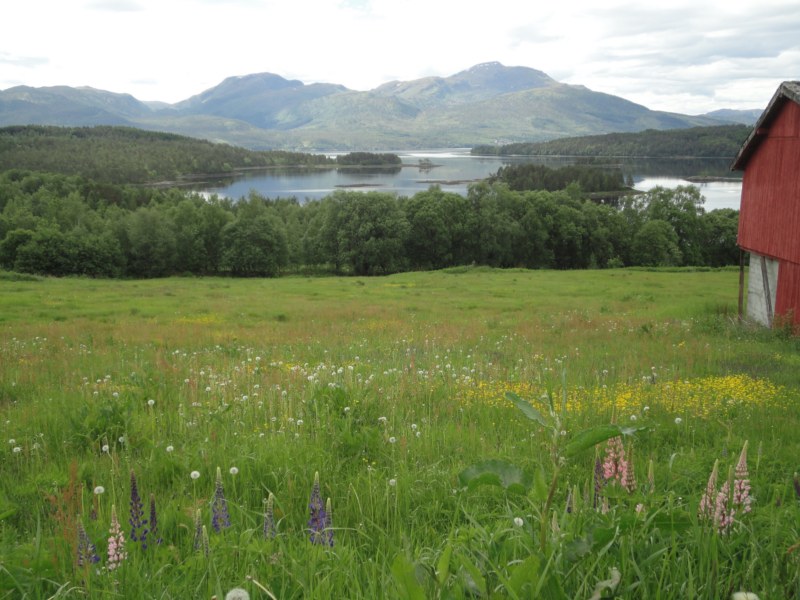 DSC05313 [800x600].jpg