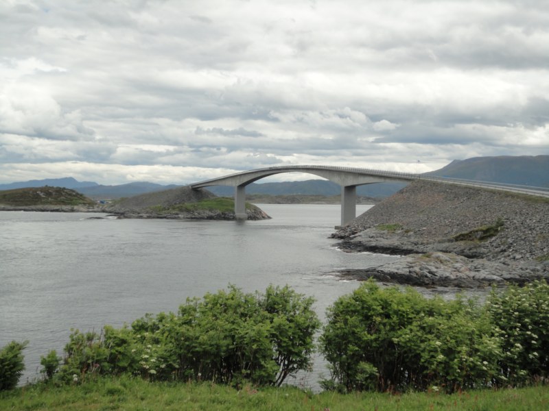 DSC05319 [800x600].jpg