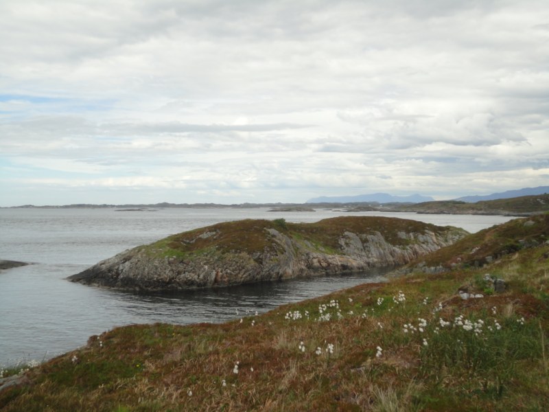 DSC05325 [800x600].jpg