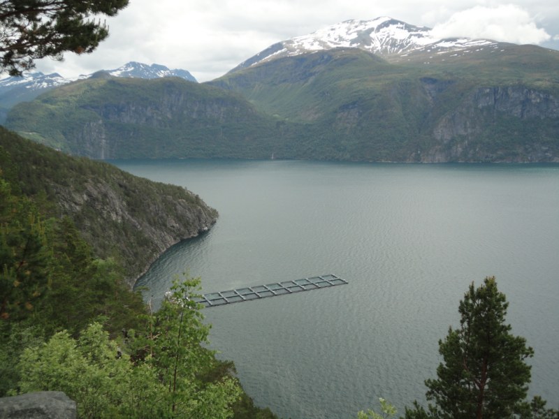 DSC05344 [800x600].jpg