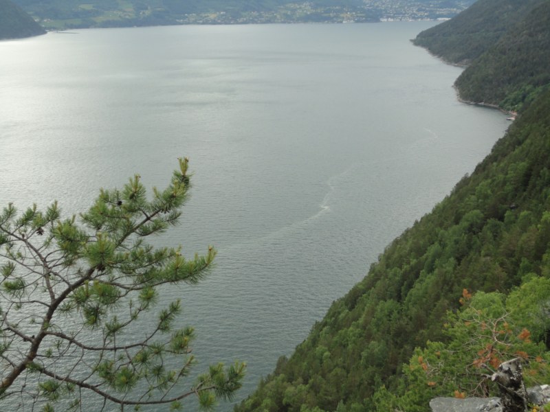 DSC05347 [800x600].jpg