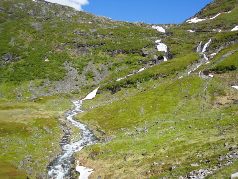 DSC05416 [800x600].jpg