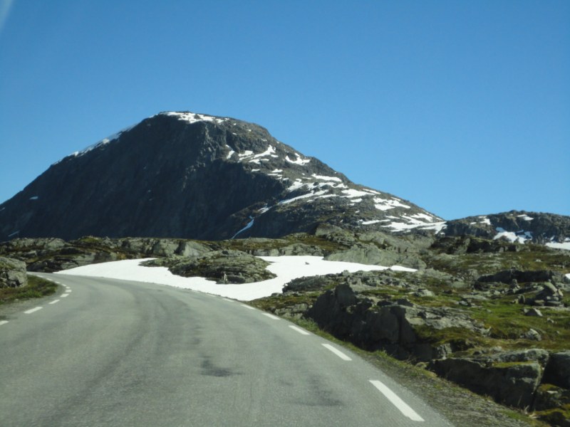 DSC05425 [800x600].jpg