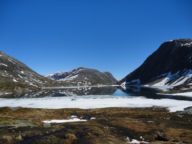 DSC05427 [800x600].jpg