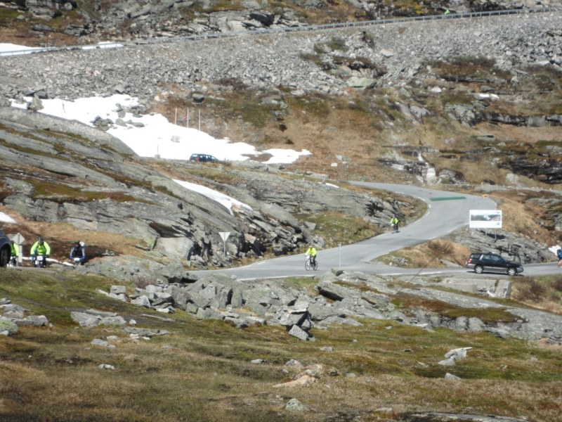 DSC05433 [800x600].jpg