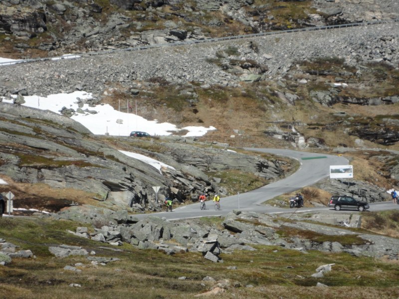 DSC05434 [800x600].jpg