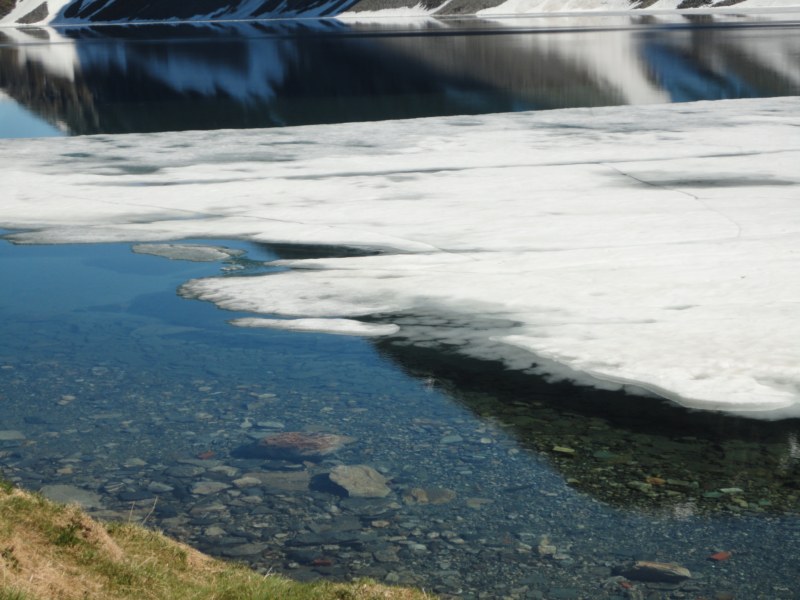 DSC05436 [800x600].jpg