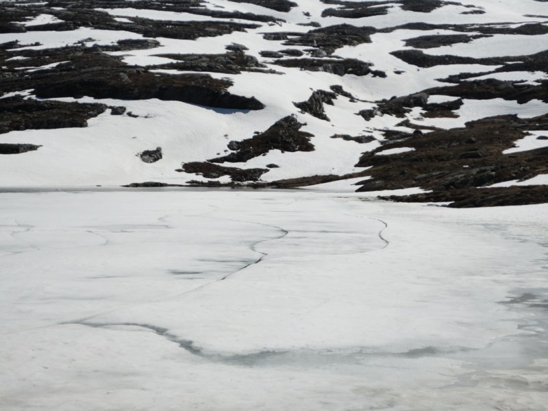 DSC05437 [800x600].jpg