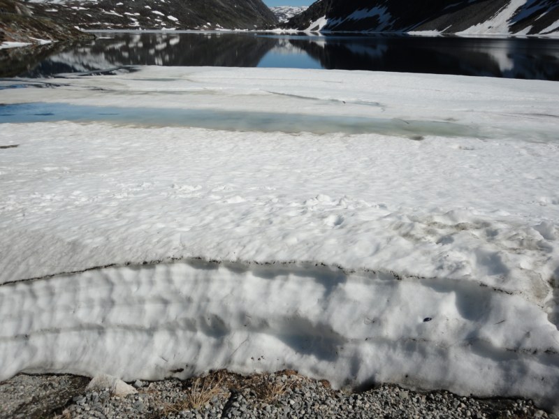 DSC05438 [800x600].jpg