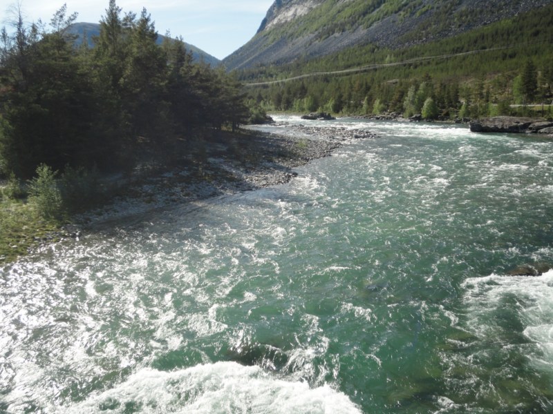 DSC05457 [800x600].jpg