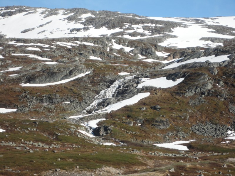 DSC05467 [800x600].jpg