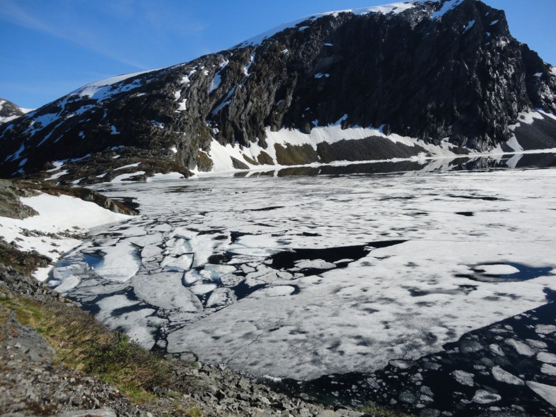 DSC05473 [800x600].jpg