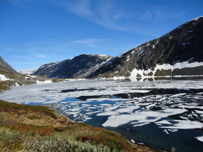 DSC05479 [800x600].jpg