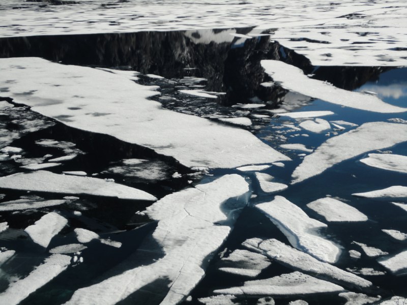 DSC05481 [800x600].jpg