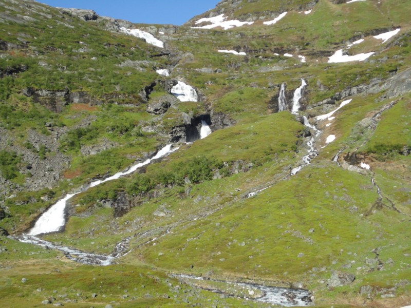 DSC05484 [800x600].jpg