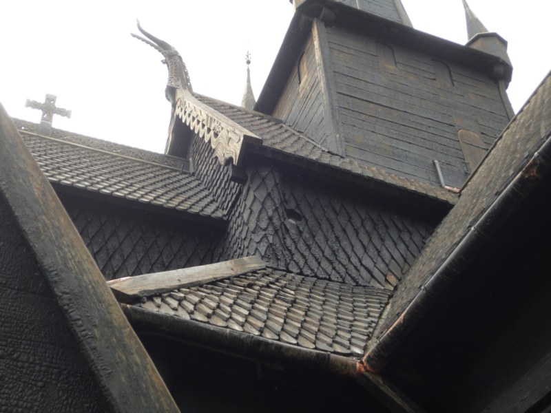 DSC05501 [800x600].jpg