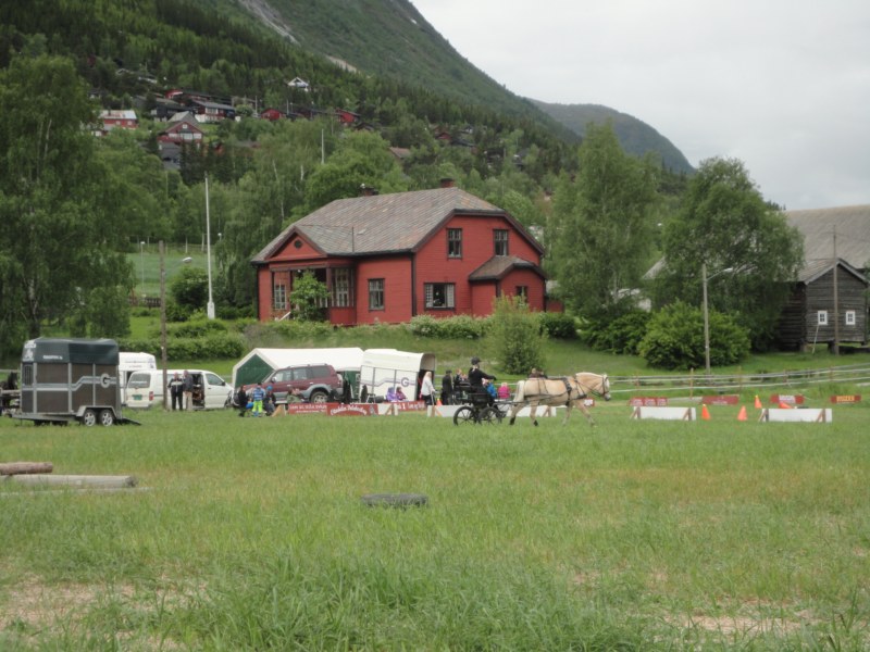 DSC05508 [800x600].jpg