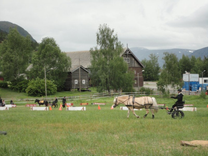 DSC05509 [800x600].jpg