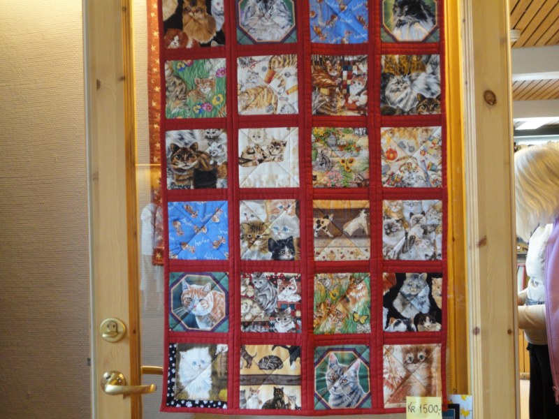 DSC05517 [800x600].jpg