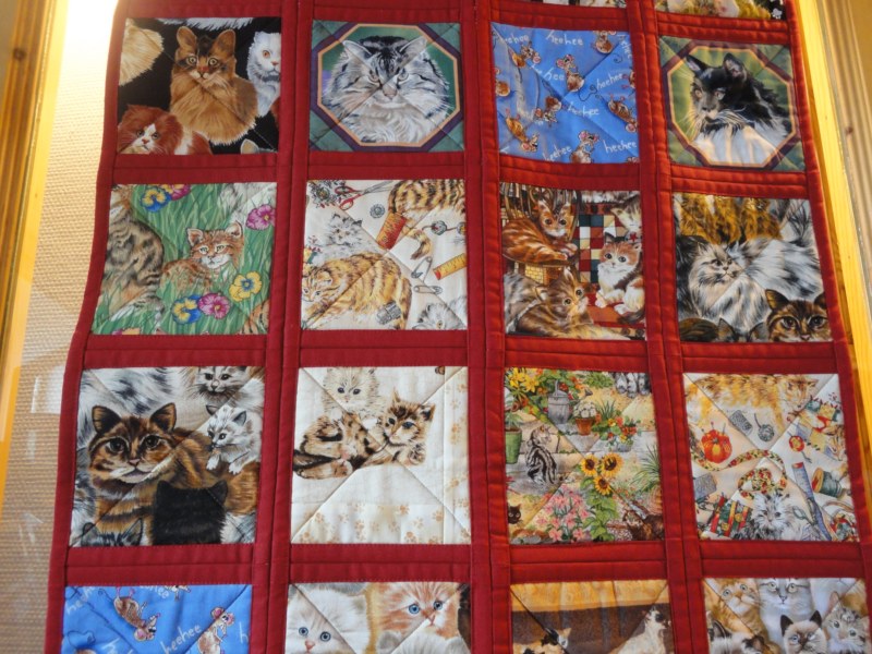 DSC05519 [800x600].jpg