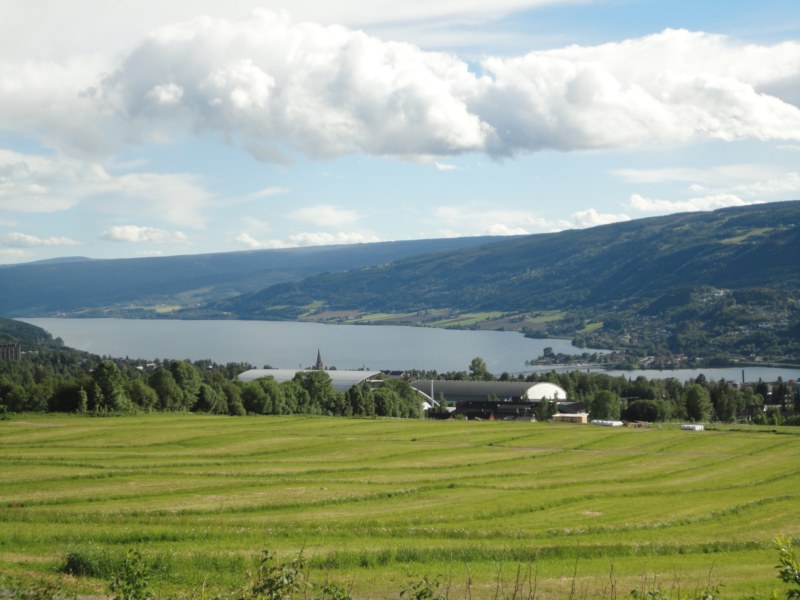 DSC05533 [800x600].jpg