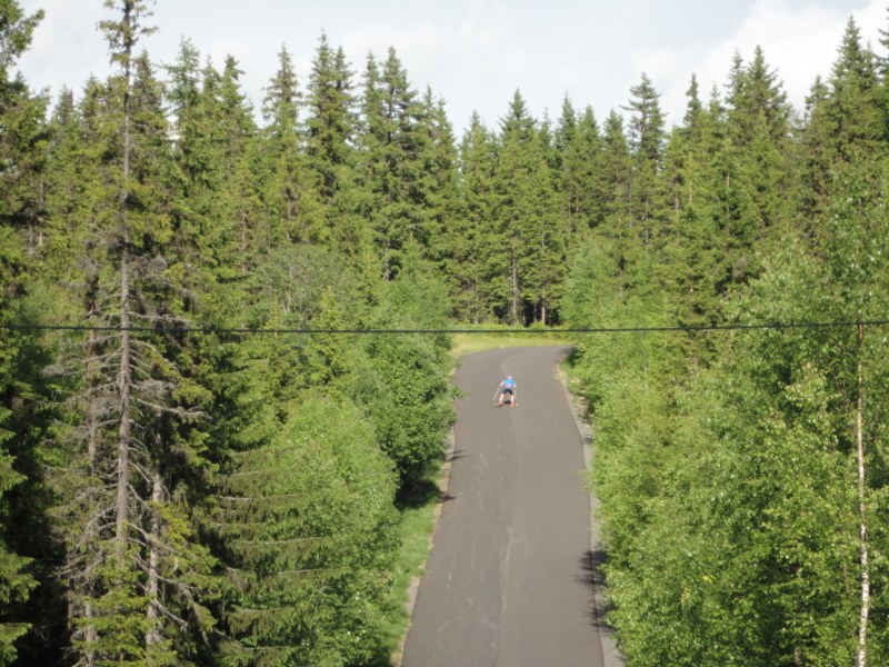 DSC05537 [800x600].jpg