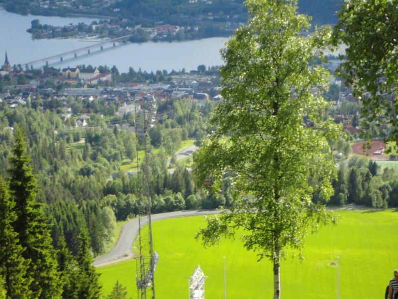 DSC05550 [800x600].jpg