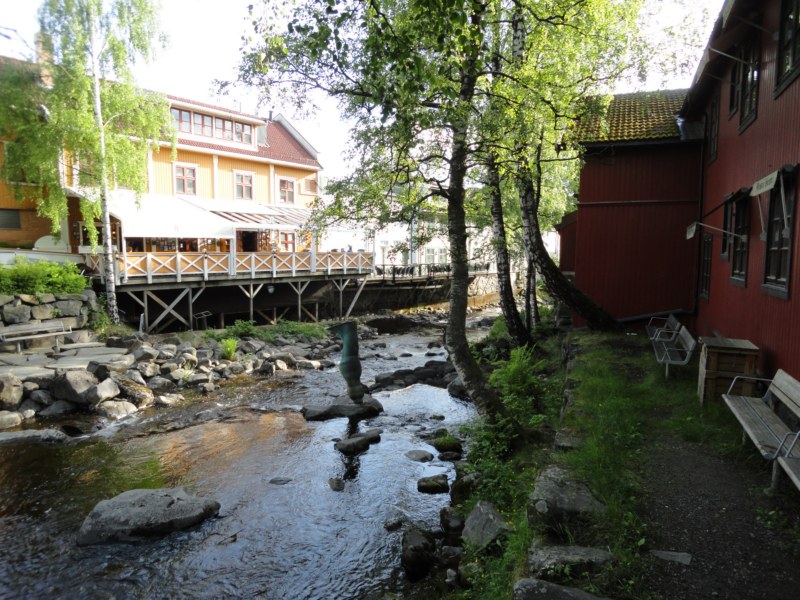 DSC05564 [800x600].jpg