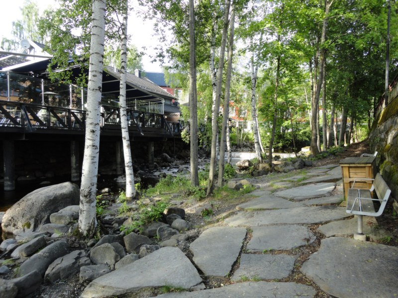 DSC05565 [800x600].jpg