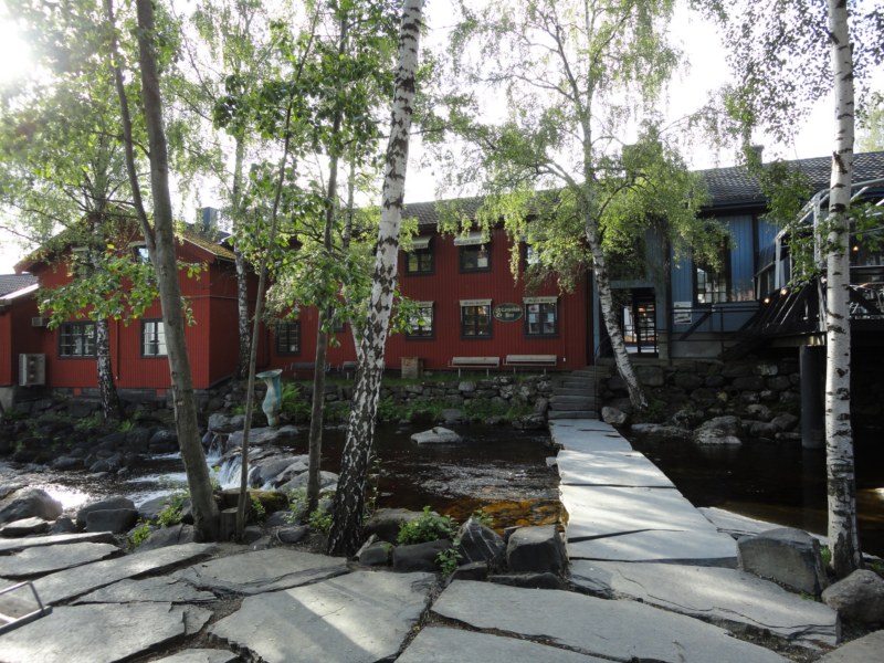 DSC05566 [800x600].jpg