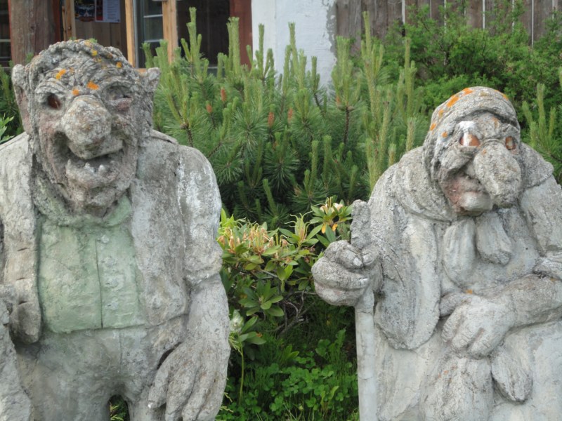 DSC05575 [800x600].jpg