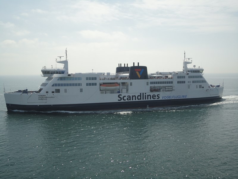 DSC05764 (Copier).JPG